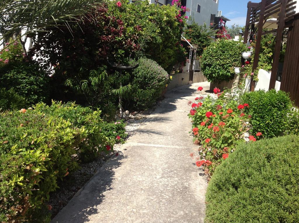 Paphos Townhouse Villa Buitenkant foto